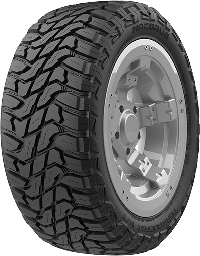 TERRABEAST M/T