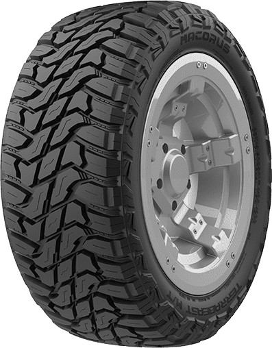 TERRABEAST M/T